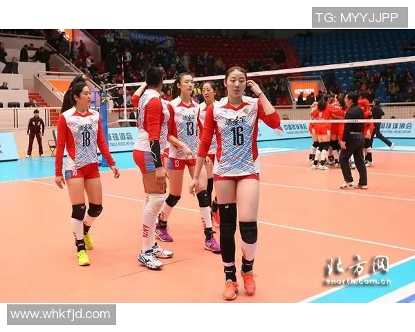 南京排球队的节奏解析与发展趋势探讨