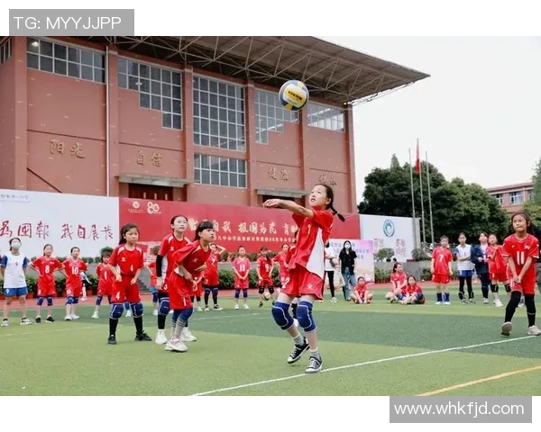 成都排球队在世界锦标赛上的拼搏历程与荣耀时刻回顾 成都排球队在世界锦标赛上的拼搏历程与荣耀时刻回顾