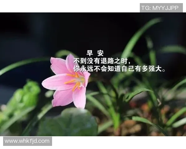 足球明星的励志语录与人生哲学启示你我前行的力量